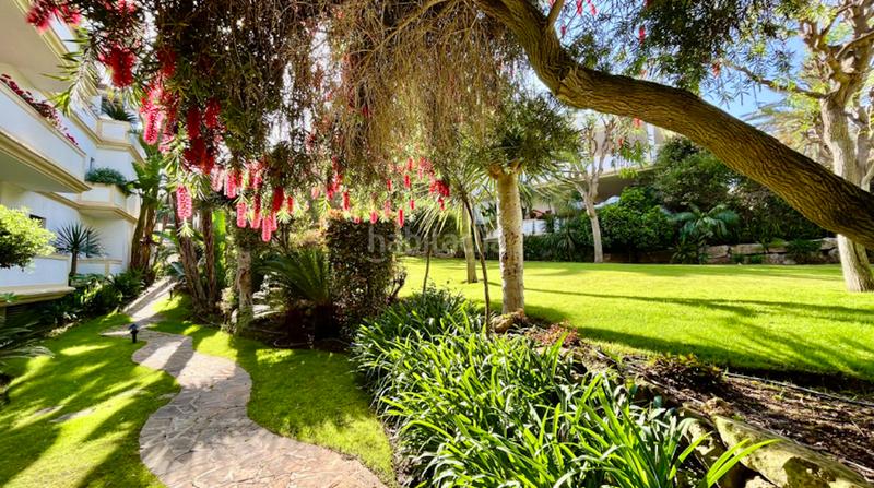 Foto b71af63a-ec39-4ab0-b306-4e20baa34b78. Rent ground floor with parking pool in Puente Romano Marbella