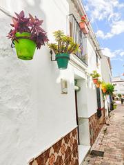 Casa adossada a Centro. Clásica casa andaluza independiente en el centro histórico de es