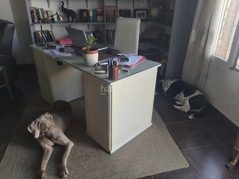 Foto 400aebc9-edfa-4d7b-a976-df0c76a6960d. Casa con parcheggio piscina in San Roque pueblo San Roque