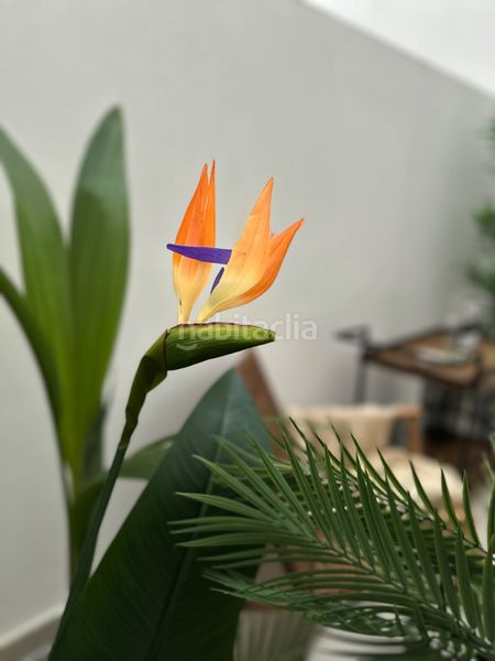 Foto 1873f70c-a1ce-4ab8-b17e-48c36b4d6abc. Planta baja apartamento nuevo totalmente amueblado en puerto en Estepona