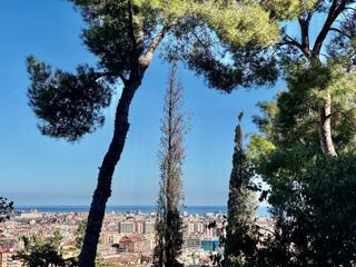 Pis  Carrer alt de pedrell