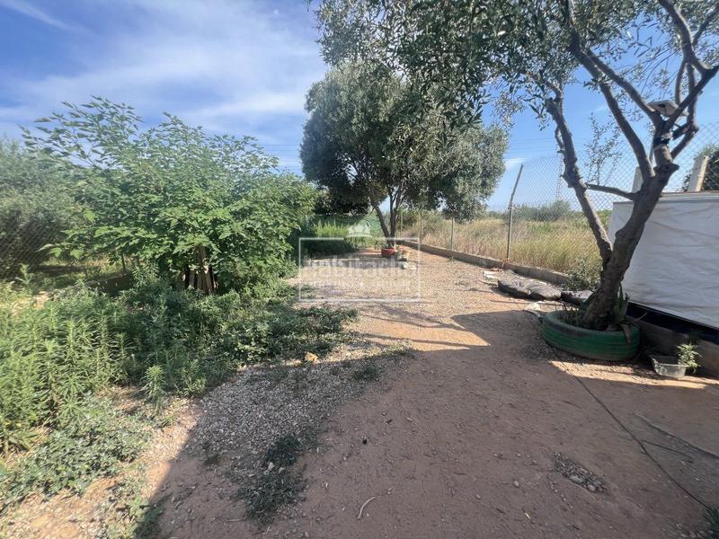 Foto 8e658cf1-bb7f-466b-9c3c-255c6df380d0. Chalet in Piscinas Villarreal / Vila - real