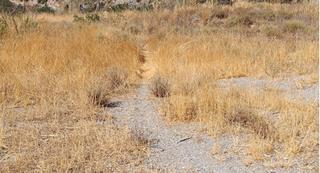 Fondo rustico in Los Tablones - La Garnatilla