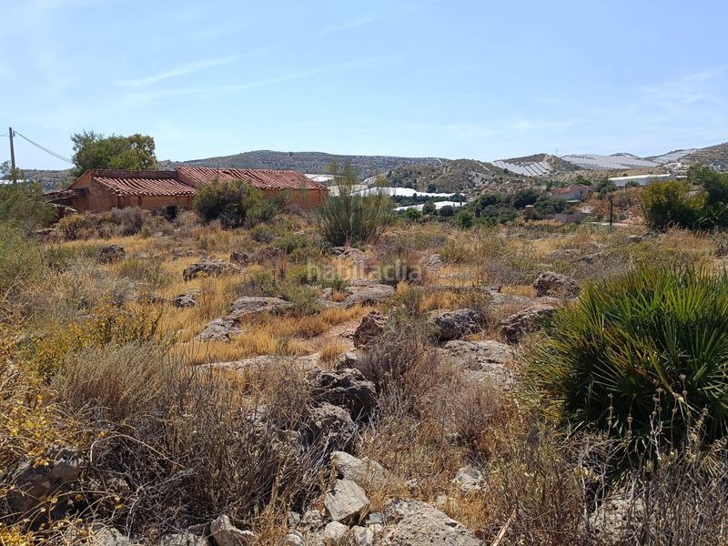 Foto 43af8be4-fdcd-403a-95a0-bd69fe1bae4d. Finca rústica a Los Tablones - La Garnatilla Motril
