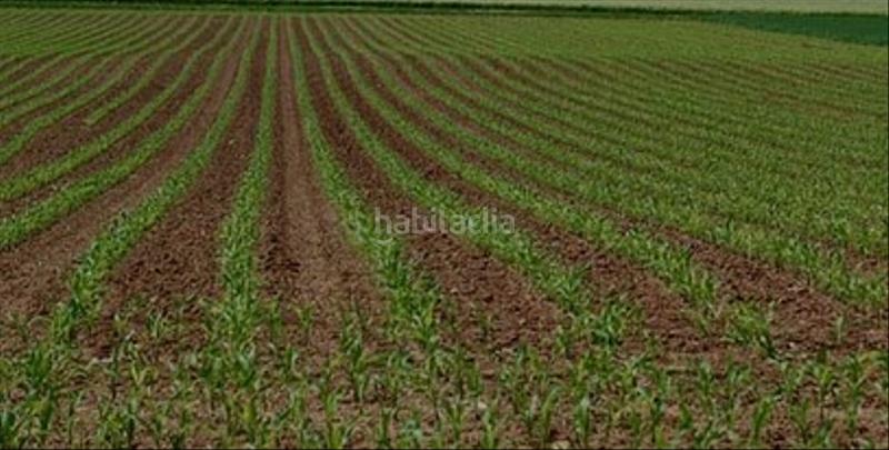 Foto a50ef711-f09a-443d-b88d-c9dec5c4aa49. Landgut in Centro Salobreña