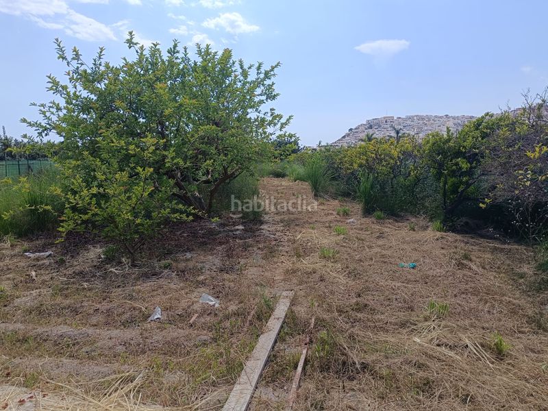 Foto bbef50cb-22be-4307-8a21-6bd32d3732b1. Finca rústica a Centro Salobreña