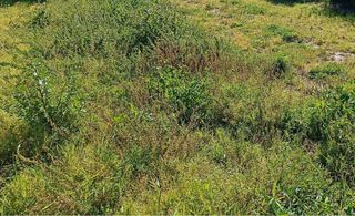Landgut in Centro. Finca en motril