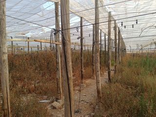 Finca rústica a Los Tablones - La Garnatilla