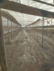 Finca rústica a Los Tablones - La Garnatilla