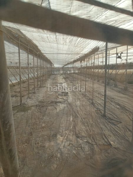 Foto a8359e16-0e8b-4af4-adc5-ebfe211c07aa. Finca rústica a Los Tablones - La Garnatilla Motril