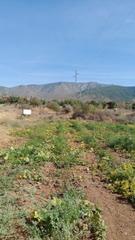 Fondo rustico in Los Tablones - La Garnatilla