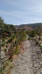 Finca rústica a Los Tablones - La Garnatilla. Finca en los tablones con cortijos a reformar