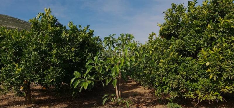 Foto 39c1adbe-8cb9-46f5-8573-c4ec6d270834. Propriété dans Los Tablones - La Garnatilla Motril