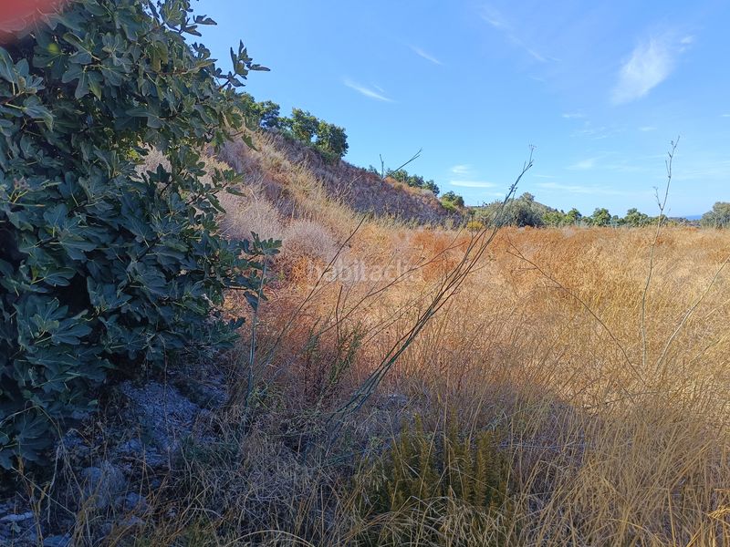 Foto 48bbab19-8871-45ff-9315-59a7f0c7f2ed. Affitto fondo rustico in Los Tablones - La Garnatilla Motril