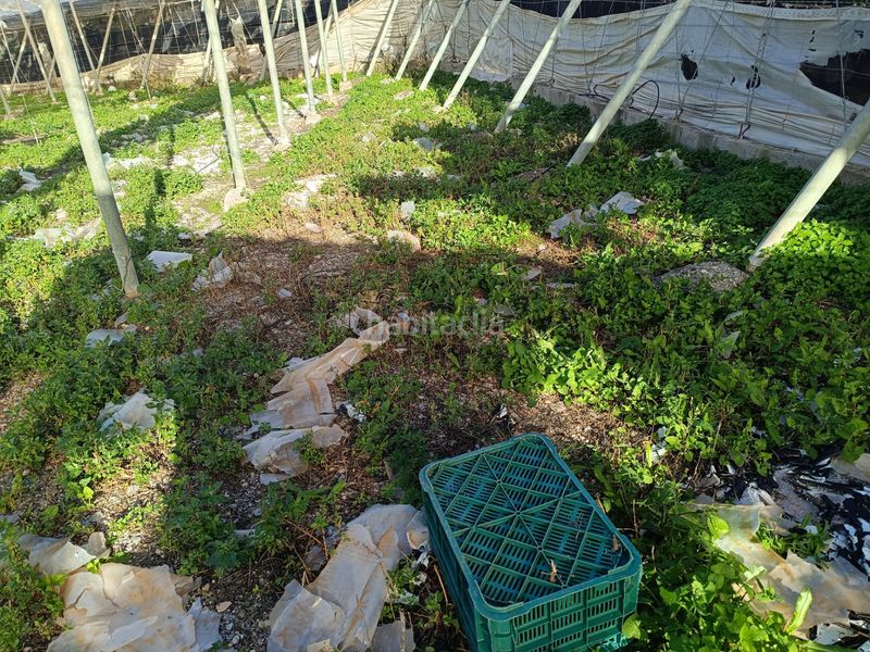 Foto a06840e8-aaae-409a-a0cd-7f9c75c6b295. Finca rústica a Motril ciudad Motril