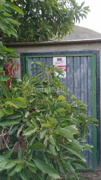 Foto cd74e892-27b6-4f1f-9b45-47bf4672b803. Landgut in Los Tablones - La Garnatilla Motril