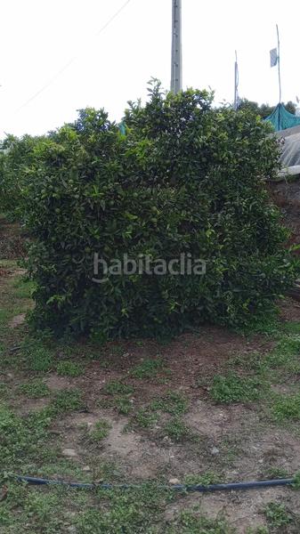 Foto e6d8a6ba-9c31-4be8-9d58-48fe76831940. Landgut in Los Tablones - La Garnatilla Motril