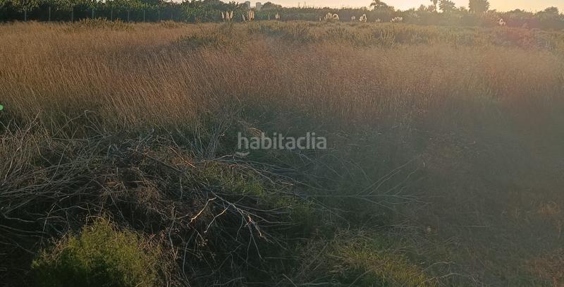 Foto 15a7242e-f88a-4404-97d3-bbe269024708. Finca rústica a Centro Salobreña