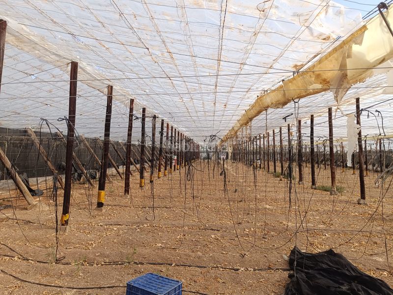 Foto 4dea1f6e-84bd-4139-8f96-46cb055a343f. Finca rústica a Los Tablones - La Garnatilla Motril
