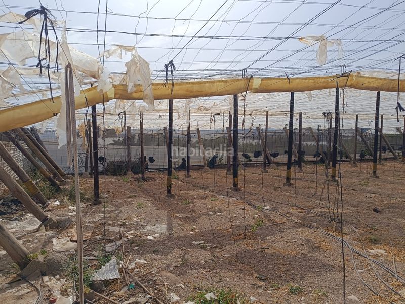Foto 96472da0-9f9c-4c18-95bd-bc0219109421. Finca rústica a Los Tablones - La Garnatilla Motril