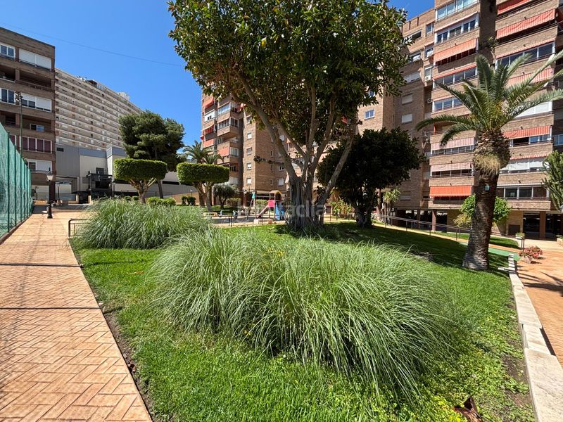 Foto b66d03d2-f094-4612-9f19-9826598b792d. Pis a avenida avenida holanda 17 a Playa de San Juan Alicante