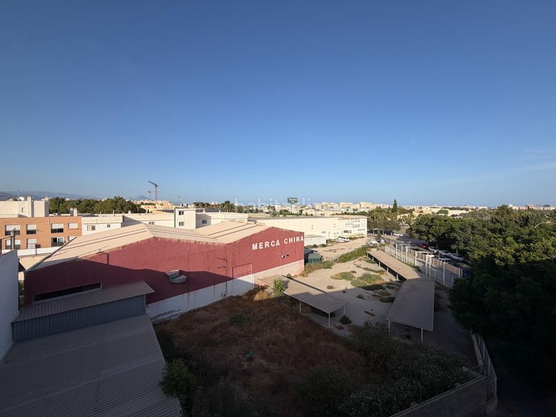 Foto b0592bab-126c-414c-a6fc-9cc9001d1733. Pis a veronica-Santa Faz 24 a Santa Faz Alicante