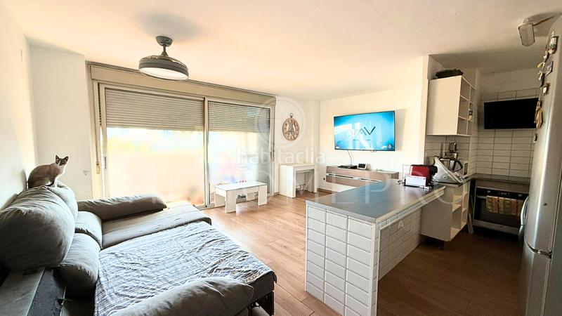 Foto 0a8d2f07-e039-4bb0-a847-40856a26ff06. Pis a Besòs - Maresme Barcelona