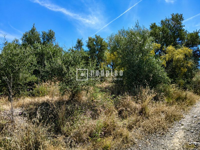 Foto 42e29f9b-cce7-43af-ab13-e10a2142791a. Terreny residencial a campo de Mijas Mijas