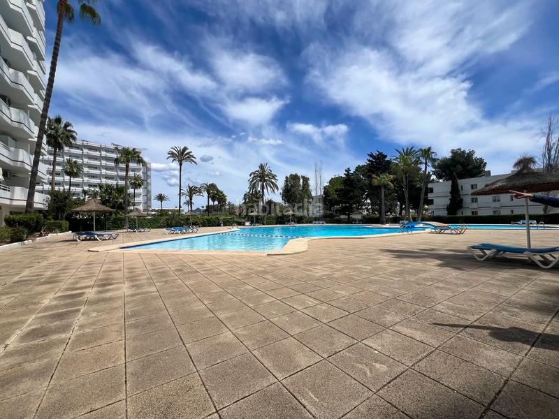 Foto 1a054cce-b7a6-40bf-9140-467a38e2ab4b. Monolocale in avinguda pere mas i reus 25 in port d´Alcúdia-platja dálcúdia Alcúdia