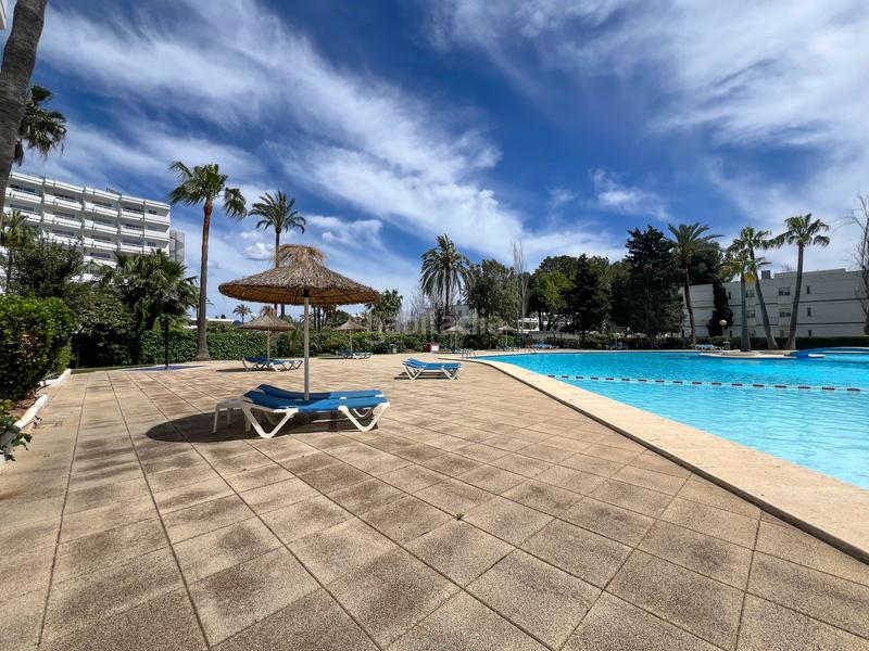 Foto a06d7d1e-f5ea-4afe-a347-e4ca888f7104. Monolocale in avinguda pere mas i reus 25 in port d´Alcúdia-platja dálcúdia Alcúdia