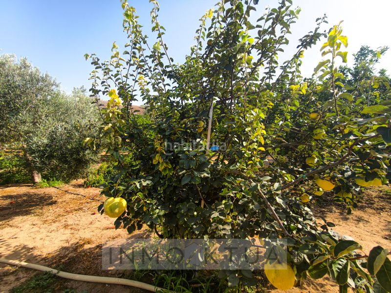 Foto 499cb2c8-e728-4960-8866-e0e9aeb3e2b8. Masia amb aparcament a Cuatro Pinos - El Carmen Puerto de Santa María (El)