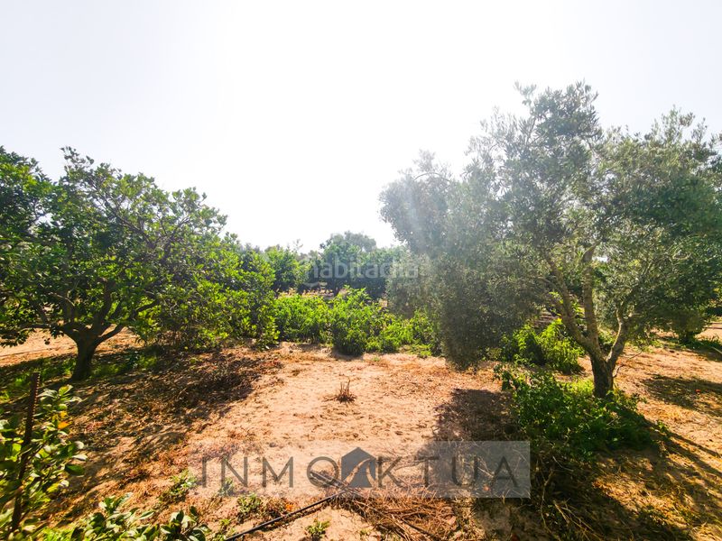 Foto e3336873-2bd5-452a-ae0e-294e19d3f148. Masia amb aparcament a Cuatro Pinos - El Carmen Puerto de Santa María (El)