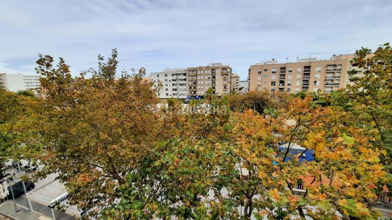 Foto dab768d9-c032-46ba-8729-a37ecbe1edcd. Pis a Oliva pueblo Oliva