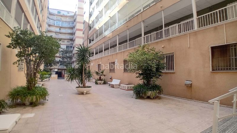 Foto b81cb19f-85c3-481f-adbe-aaf22d5a4588. Pis a Centro Santa Pola