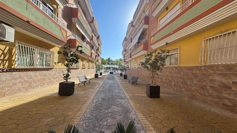 Foto dec5f26d-c6f6-4d52-85c4-74e4049920bf. Pis a Centro Sant Vicent del Raspeig