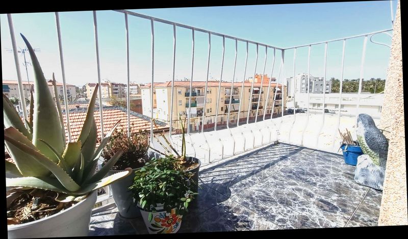 Foto 49a3be91-6761-4593-9423-7642daebfe28. Pis a El Palmeral - San Antón Elche / Elx