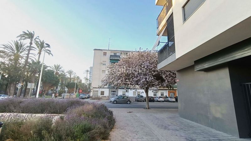 Foto 7bb98a3b-b4c0-4474-a56a-11301d8ae805. Pis a El Palmeral - San Antón Elche / Elx