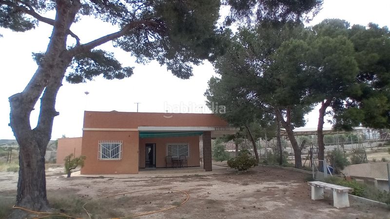 Foto 2dd9f527-fa6c-4ddd-88c5-b52fd33c5abe. Casa a Peña de las Águilas Elche / Elx