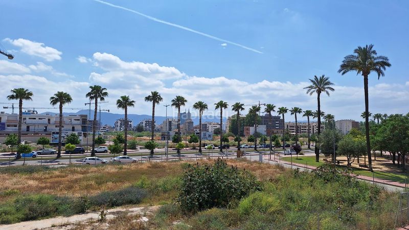 Foto 0620e729-c2d5-4d62-89b2-72cc8ed4681e. Pis a Zarandona Murcia