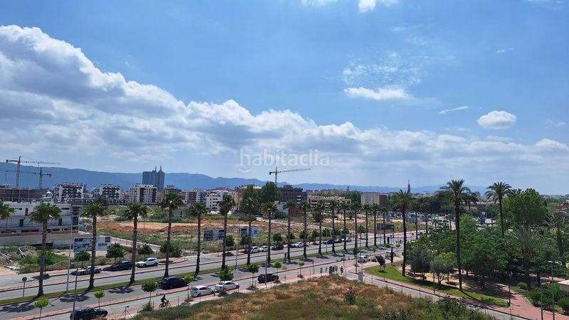 Foto 7dc22e3e-240a-43a5-83b1-1133b0cd35a2. Pis a Zarandona Murcia