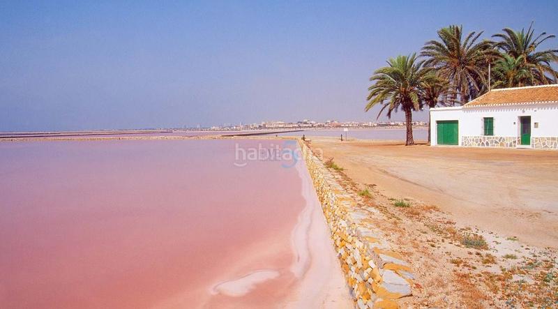 Foto ad86f95b-f619-4fda-99ad-2b2d008a1816. Piso en San Pedro del Pinatar San Pedro del Pinatar