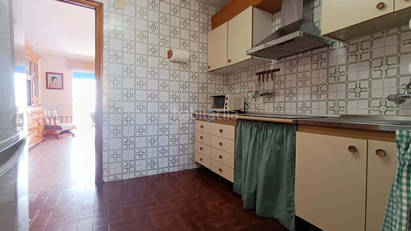 Foto 4a14537d-3c17-447f-80fc-8498c4ef0483. Pis a Los Europeos Torrevieja