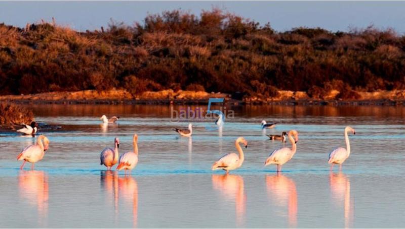 Foto ae55fafa-0e3f-4e8c-bb3b-a45aebdd0861. Maison avec parking dans San Pedro del Pinatar San Pedro del Pinatar