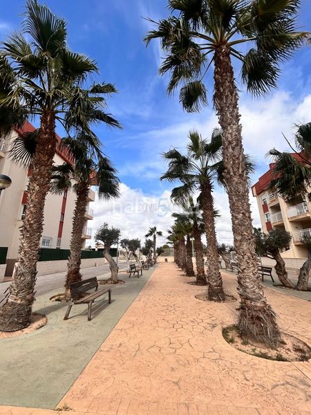 Foto a00e66f1-fb36-4e39-a33d-594eb3a6c996. Àtic amb aparcament piscina a Lomas de Cabo Roig - Los Dolses Orihuela