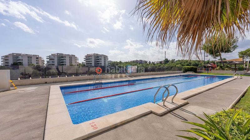 Foto a983ba01-a8a0-4adf-b6e4-7ea6ff4475b9. Pis amb piscina a Villamartín-Las Filipinas Orihuela