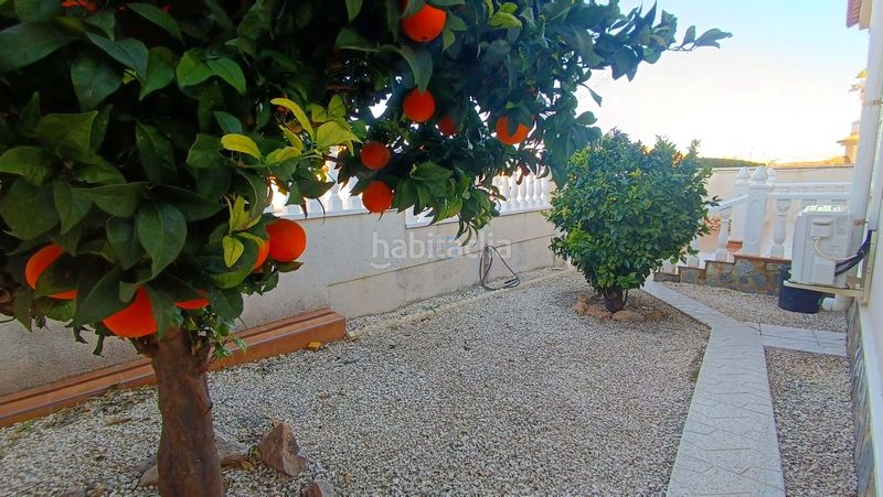 Foto 2e2cc6f7-6c9d-41b7-80aa-364a84eaef4a. Casa amb calefacció piscina a Benijófar