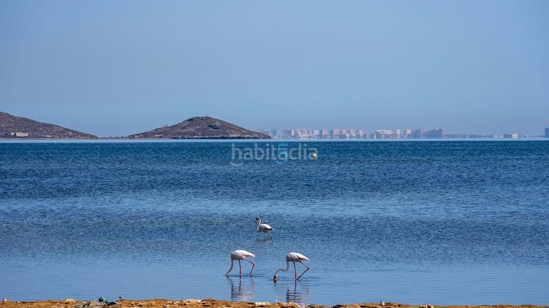 Foto 7424c04b-6341-4160-b0da-1652464d613b. Appartement avec chauffage parking piscine dans Los Urrutias Cartagena