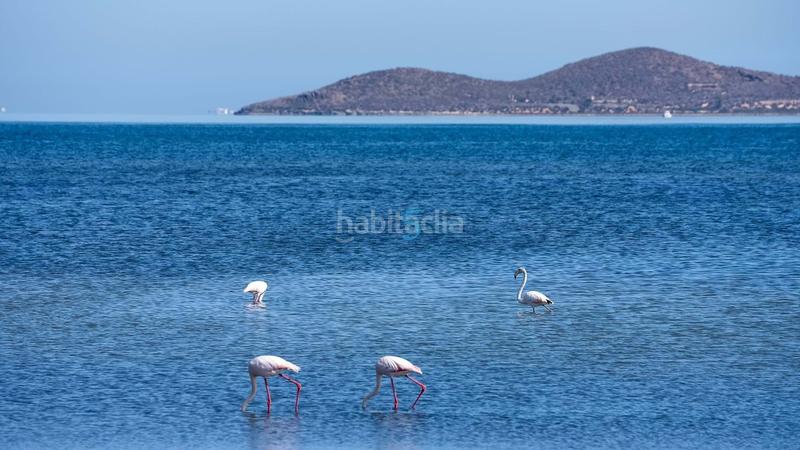 Foto cd71c065-c2c9-4609-9f55-f3aef2057c8f. Appartement avec chauffage parking piscine dans Los Urrutias Cartagena