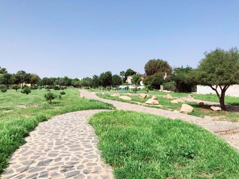 Foto 0f0a3d72-0e64-4675-b601-d283a0048e38. Casa amb calefacció piscina a Rojales