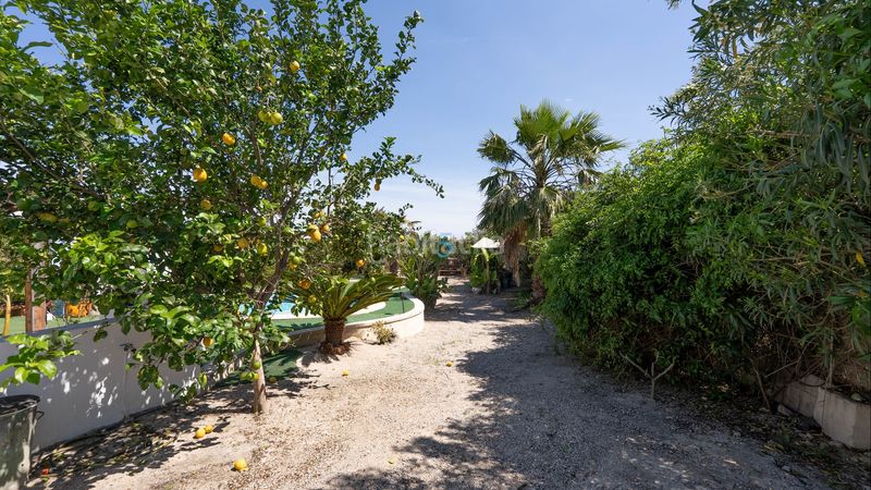 Foto fee707a4-1a1e-465d-95ab-cefda2be1ab8. Casa amb calefacció piscina a Daya Nueva